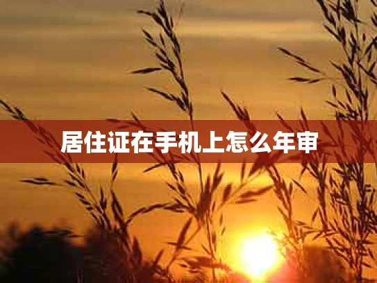 居住证在手机上怎么年审
