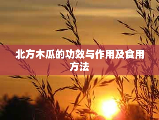 北方木瓜的功效与作用及食用方法