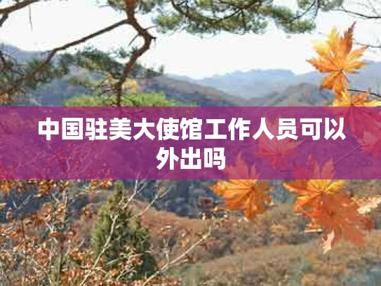 中国驻美大使馆工作人员可以外出吗