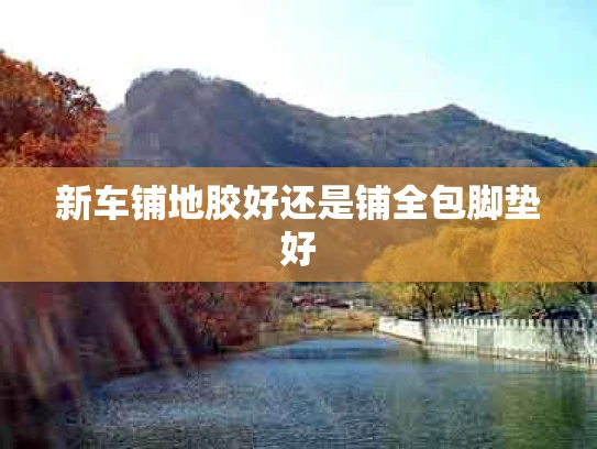 新车铺地胶好还是铺全包脚垫好