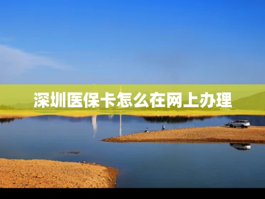 深圳医保卡怎么在网上办理