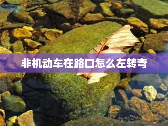 非机动车在路口怎么左转弯