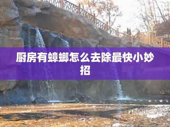厨房有蟑螂怎么去除最快小妙招
