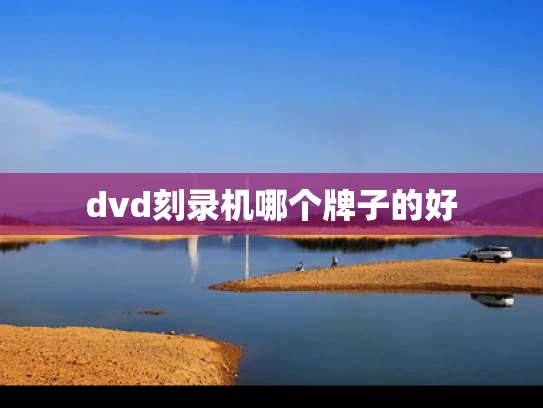 dvd刻录机哪个牌子的好