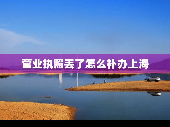 营业执照丢了怎么补办上海