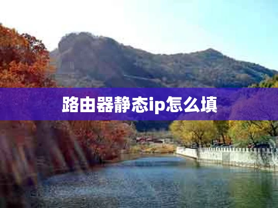路由器静态ip怎么填