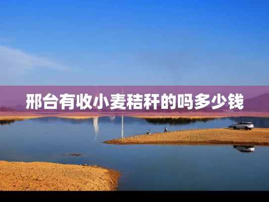 邢台有收小麦秸秆的吗多少钱