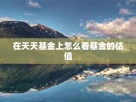在天天基金上怎么看基金的估值