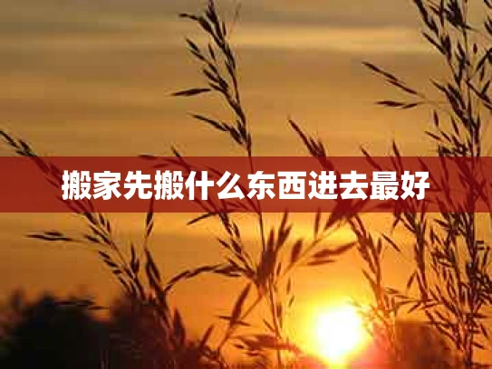 搬家先搬什么东西进去最好