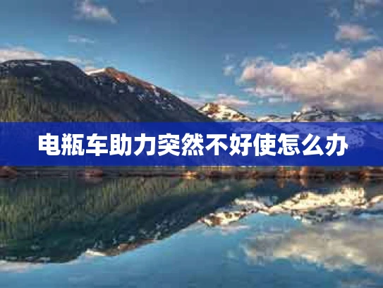 电瓶车助力突然不好使怎么办