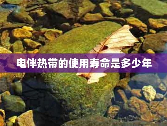 电伴热带的使用寿命是多少年
