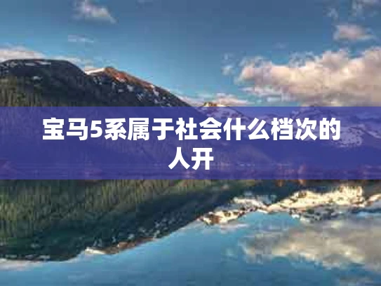 宝马5系属于社会什么档次的人开