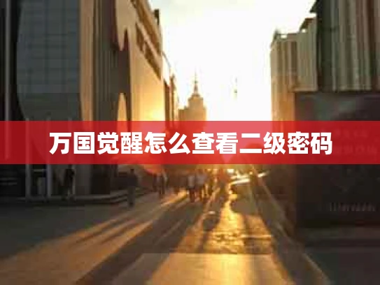 万国觉醒怎么查看二级密码
