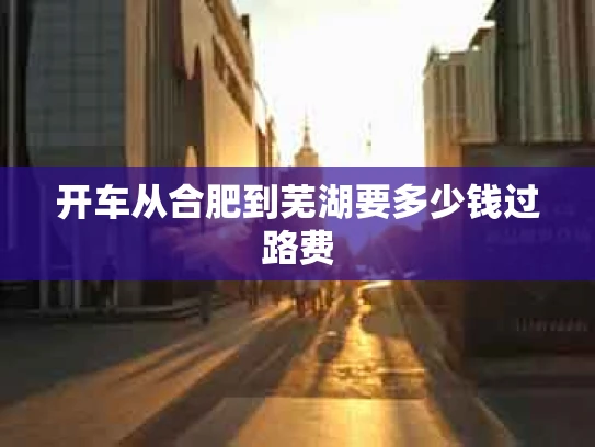 开车从合肥到芜湖要多少钱过路费