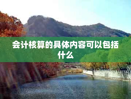 会计核算的具体内容可以包括什么