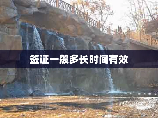 签证一般多长时间有效