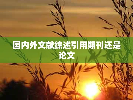 国内外文献综述引用期刊还是论文