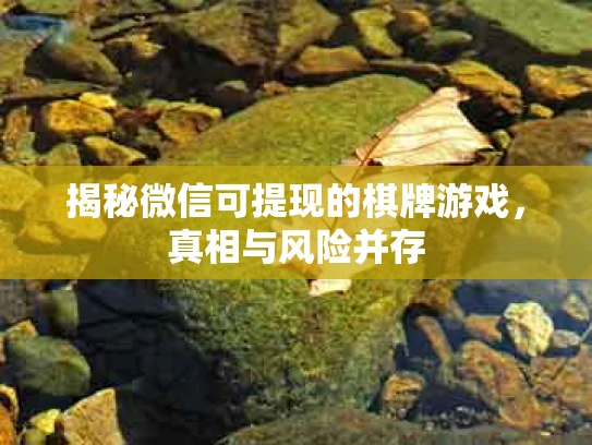 揭秘微信可提现的棋牌游戏，真相与风险并存