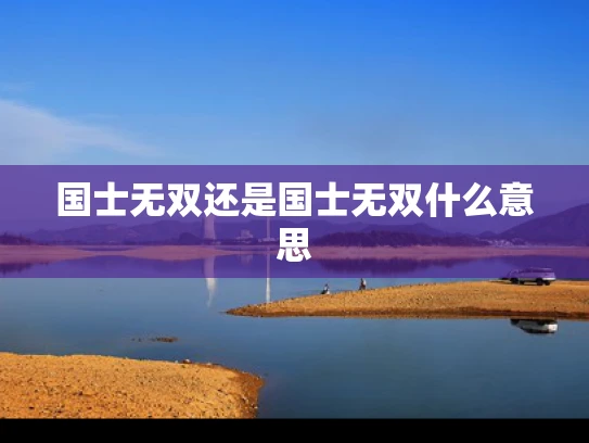 国士无双还是国士无双什么意思