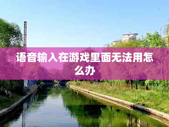 语音输入在游戏里面无法用怎么办