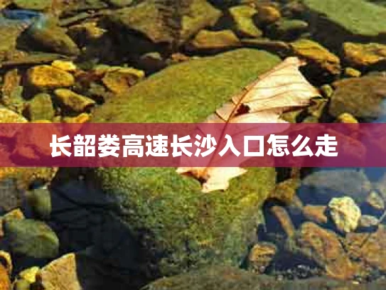 长韶娄高速长沙入口怎么走