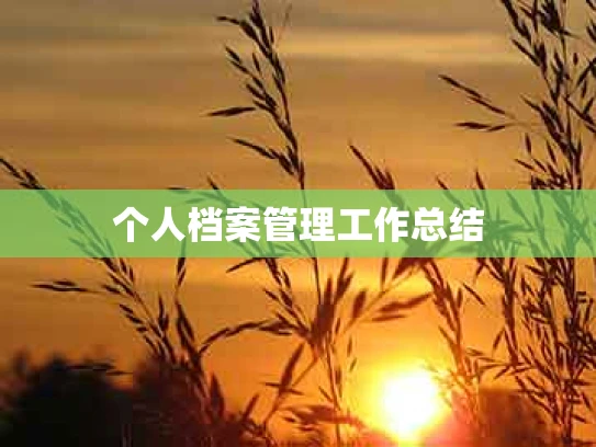 个人档案管理工作总结