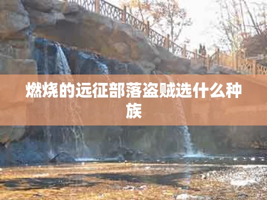 燃烧的远征部落盗贼选什么种族