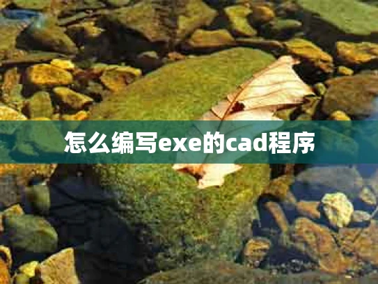 怎么编写exe的cad程序