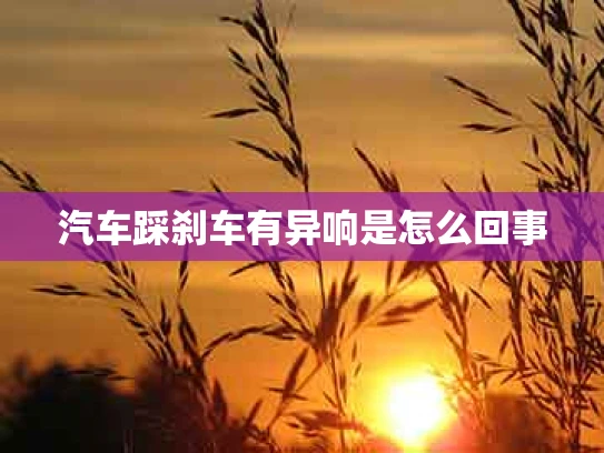 汽车踩刹车有异响是怎么回事