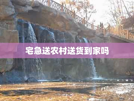 宅急送农村送货到家吗