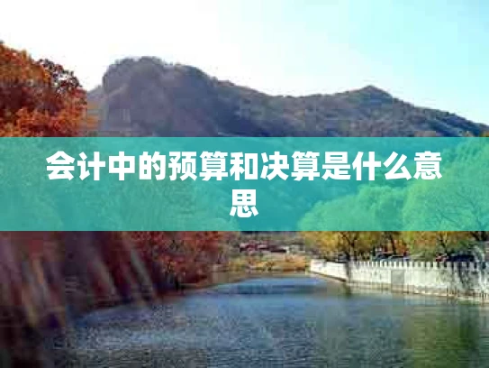 会计中的预算和决算是什么意思