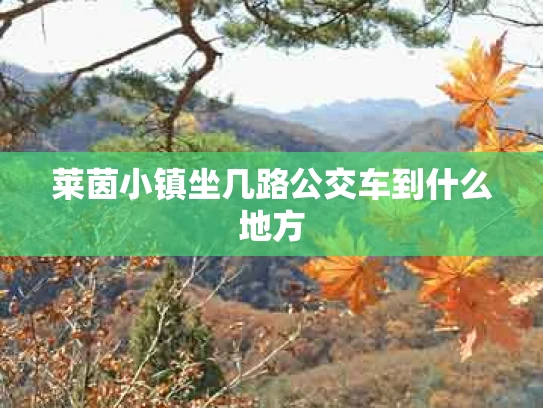 莱茵小镇坐几路公交车到什么地方