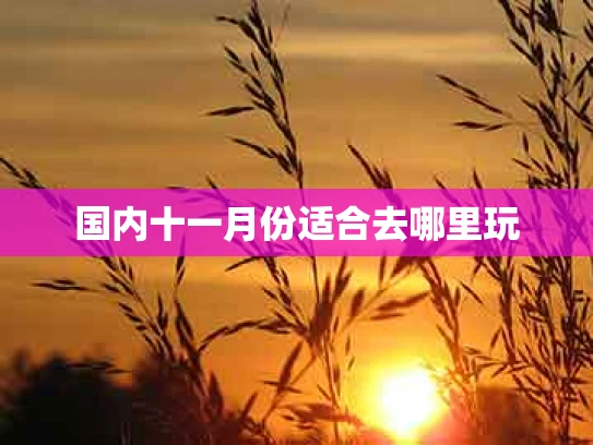 国内十一月份适合去哪里玩