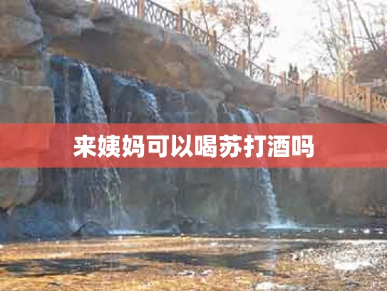 来姨妈可以喝苏打酒吗