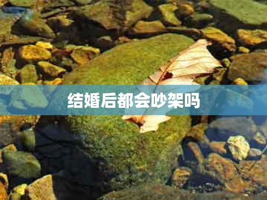 结婚后都会吵架吗