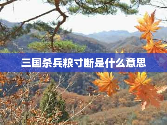 三国杀兵粮寸断是什么意思