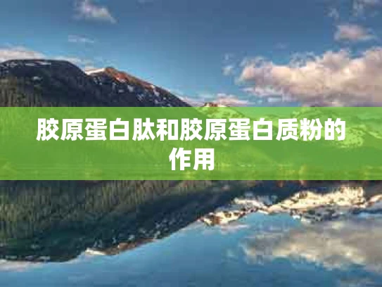 胶原蛋白肽和胶原蛋白质粉的作用