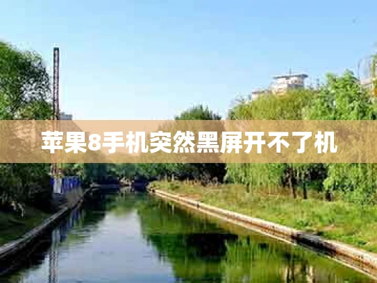 苹果8手机突然黑屏开不了机