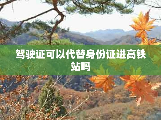 驾驶证可以代替身份证进高铁站吗