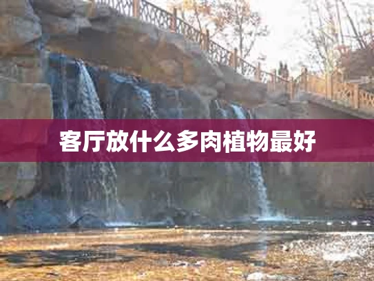 客厅放什么多肉植物最好