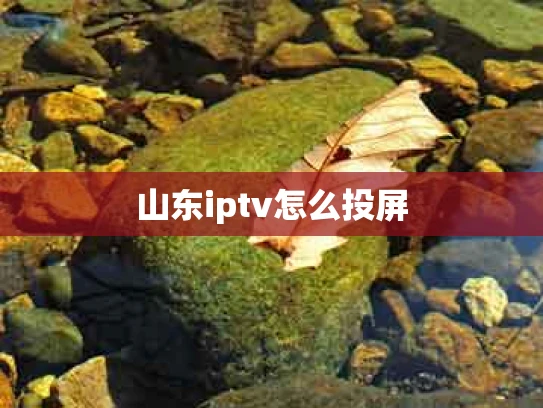 山东iptv怎么投屏
