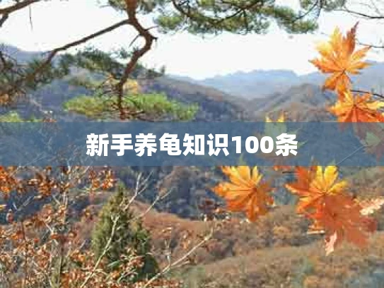 新手养龟知识100条