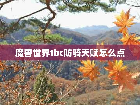 魔兽世界tbc防骑天赋怎么点