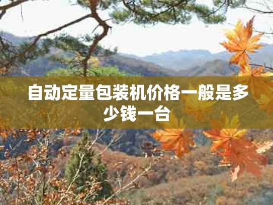 自动定量包装机价格一般是多少钱一台