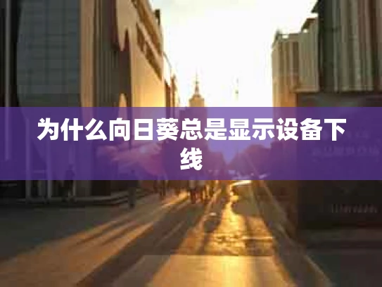 为什么向日葵总是显示设备下线
