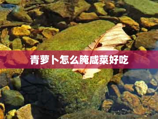 青萝卜怎么腌咸菜好吃
