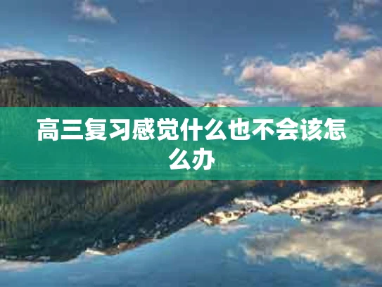 高三复习感觉什么也不会该怎么办