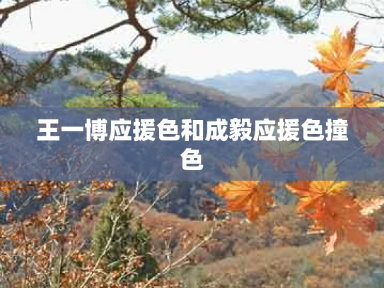 王一博应援色和成毅应援色撞色