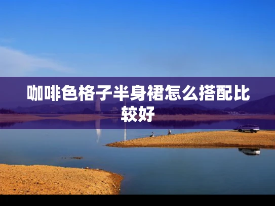 咖啡色格子半身裙怎么搭配比较好