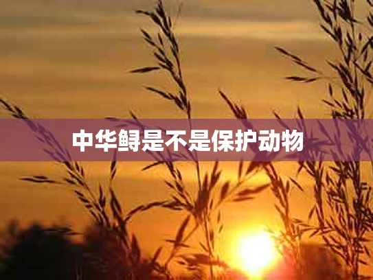 中华鲟是不是保护动物